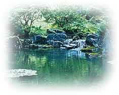 Idealized pond
