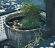 A backyard Water Garden Tub made with a rustic looking barrel